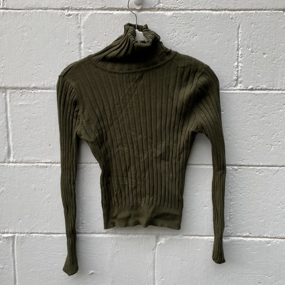 Zara Olive Turtle Neck